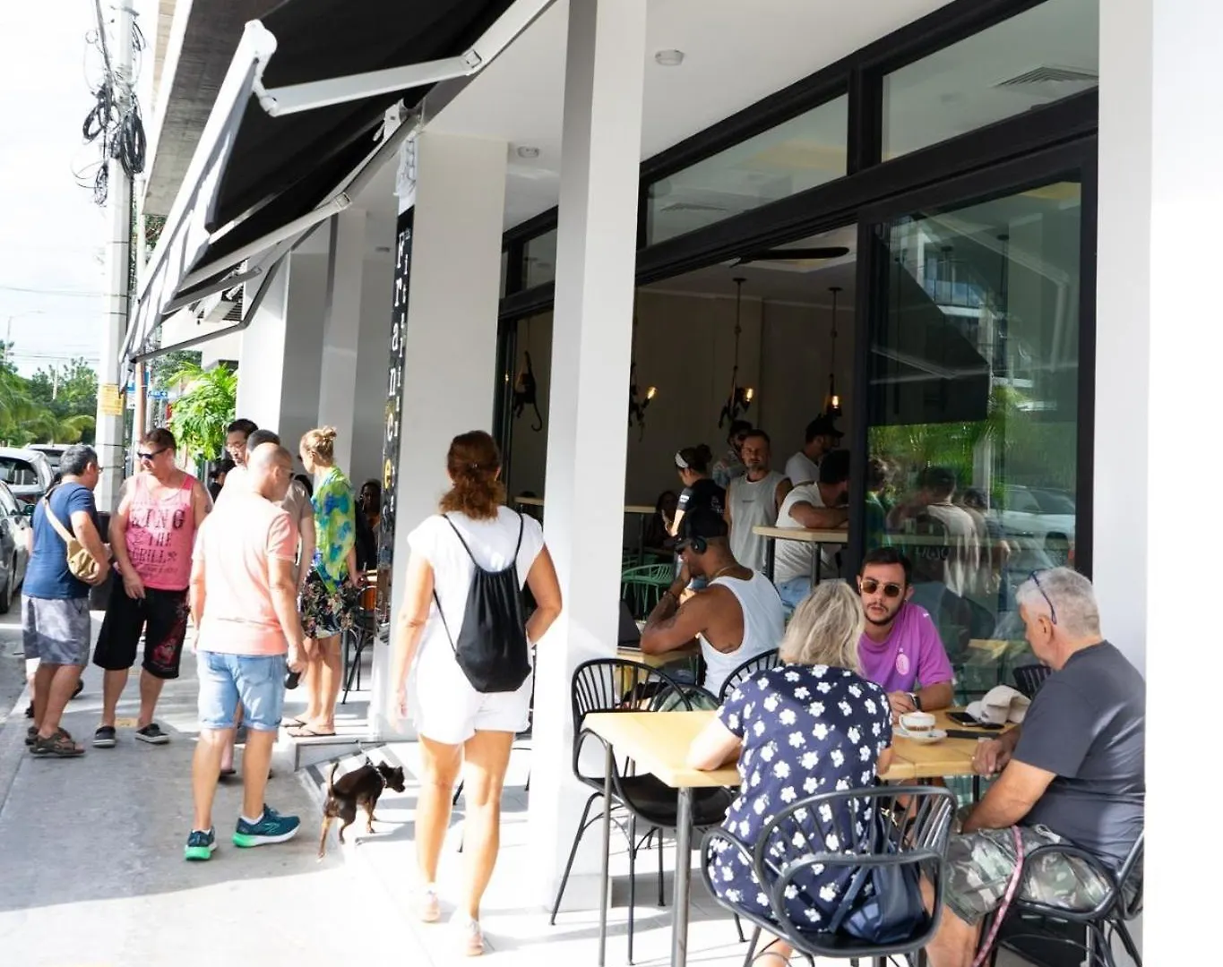 Apartment Amazing Apt Close To The Beach! Playa del Carmen